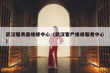 武汉服务器维修中心（武汉客户维修服务中心）