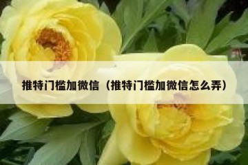 推特门槛加微信（推特门槛加微信怎么弄）