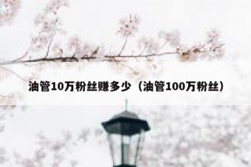 油管10万粉丝赚多少（油管100万粉丝）