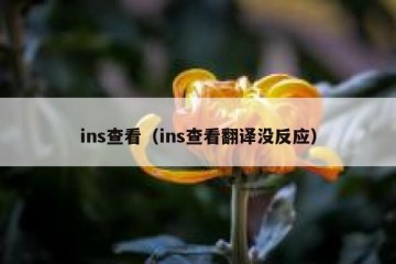 ins查看（ins查看翻译没反应）