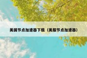 美国节点加速器下载（美服节点加速器）