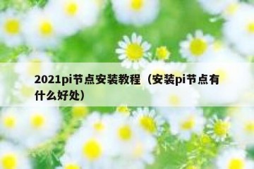 2021pi节点安装教程（安装pi节点有什么好处）