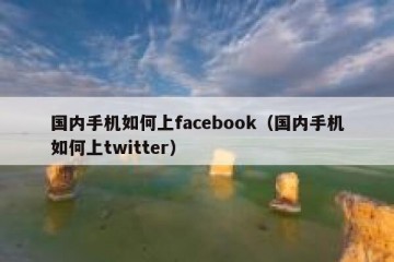 国内手机如何上facebook（国内手机如何上twitter）