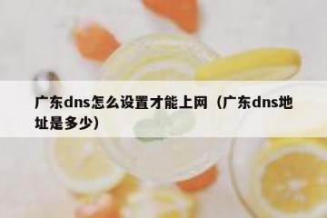 广东dns怎么设置才能上网（广东dns地址是多少）