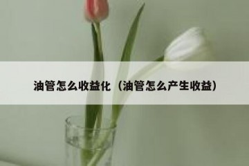油管怎么收益化（油管怎么产生收益）