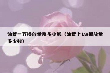 油管一万播放量赚多少钱（油管上1w播放量多少钱）