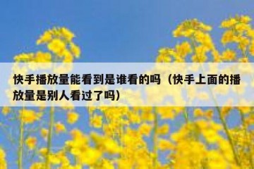 快手播放量能看到是谁看的吗（快手上面的播放量是别人看过了吗）