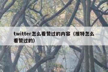twitter怎么看赞过的内容（推特怎么看赞过的）