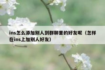 ins怎么添加别人到群聊里的好友呢（怎样在ins上加别人好友）