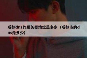 成都dns的服务器地址是多少（成都市的dns是多少）