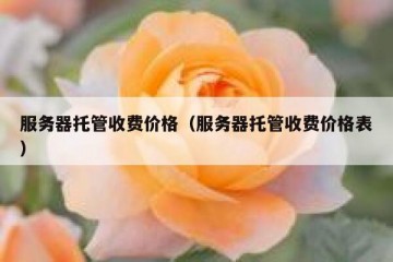 服务器托管收费价格（服务器托管收费价格表）