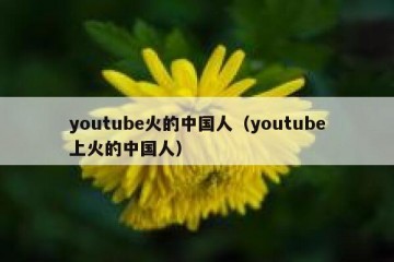youtube火的中国人（youtube上火的中国人）