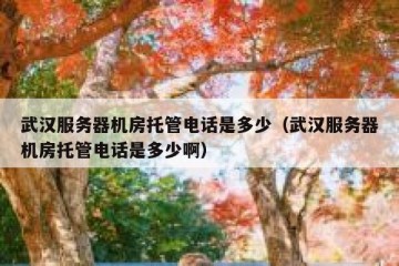 武汉服务器机房托管电话是多少（武汉服务器机房托管电话是多少啊）