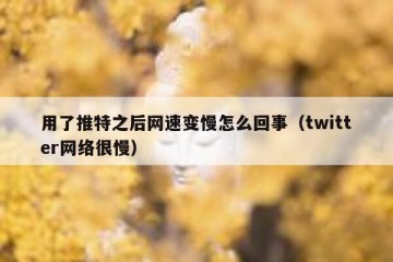 用了推特之后网速变慢怎么回事（twitter网络很慢）