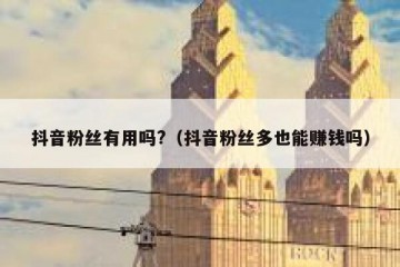 抖音粉丝有用吗?（抖音粉丝多也能赚钱吗）