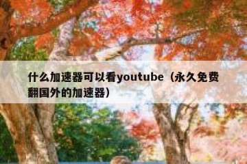 什么加速器可以看youtube（永久免费翻国外的加速器）