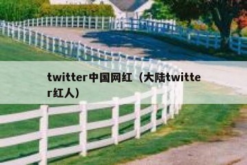 twitter中国网红（大陆twitter红人）