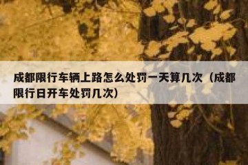 成都限行车辆上路怎么处罚一天算几次（成都限行日开车处罚几次）