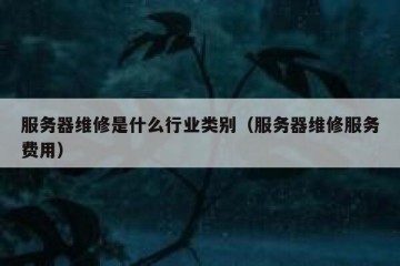 服务器维修是什么行业类别（服务器维修服务费用）