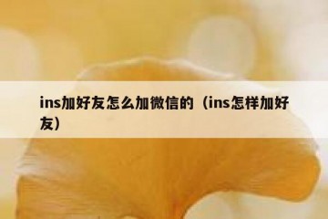 ins加好友怎么加微信的（ins怎样加好友）