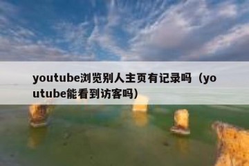 youtube浏览别人主页有记录吗（youtube能看到访客吗）