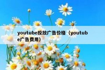 youtube投放广告价格（youtube广告费用）