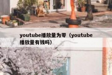 youtube播放量为零（youtube播放量有钱吗）
