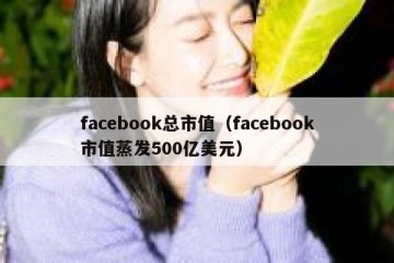 facebook总市值（facebook市值蒸发500亿美元）