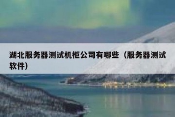 湖北服务器测试机柜公司有哪些（服务器测试软件）
