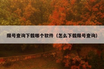限号查询下载哪个软件（怎么下载限号查询）