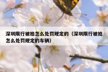 深圳限行被拍怎么处罚规定的（深圳限行被拍怎么处罚规定的车辆）