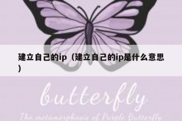 建立自己的ip（建立自己的ip是什么意思）