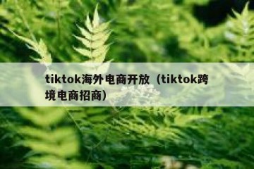 tiktok海外电商开放（tiktok跨境电商招商）