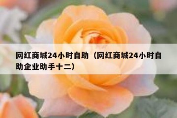 网红商城24小时自助（网红商城24小时自助企业助手十二）