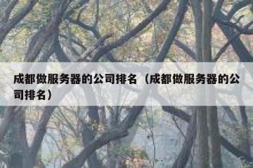 成都做服务器的公司排名（成都做服务器的公司排名）