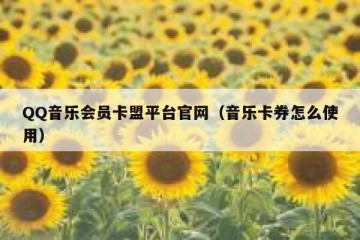 QQ音乐会员卡盟平台官网（音乐卡券怎么使用）