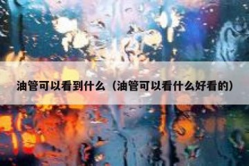 油管可以看到什么（油管可以看什么好看的）