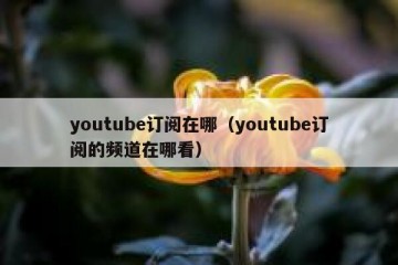 youtube订阅在哪（youtube订阅的频道在哪看）