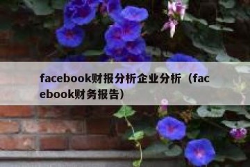 facebook财报分析企业分析（facebook财务报告）
