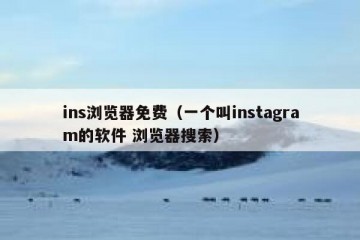 ins浏览器免费（一个叫instagram的软件 浏览器搜索）