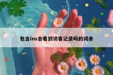 包含ins会看到访客记录吗的词条