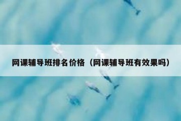 网课辅导班排名价格（网课辅导班有效果吗）