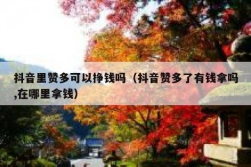 抖音里赞多可以挣钱吗（抖音赞多了有钱拿吗,在哪里拿钱）