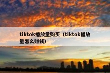 tiktok播放量购买（tiktok播放量怎么赚钱）