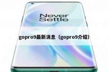 gopro9最新消息（gopro9介绍）
