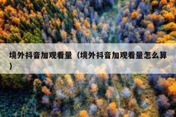 境外抖音加观看量（境外抖音加观看量怎么算）