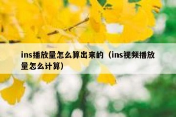 ins播放量怎么算出来的（ins视频播放量怎么计算）