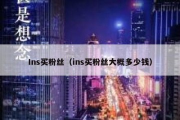 Ins买粉丝（ins买粉丝大概多少钱）