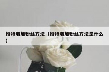 推特增加粉丝方法（推特增加粉丝方法是什么）