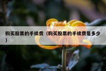 购买股票的手续费（购买股票的手续费是多少）